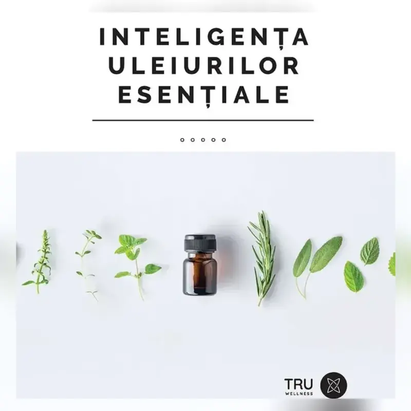 Coperta cărții Inteligența uleiurilor esențiale